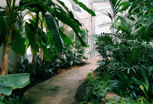 Ilustrasi Sertifikasi Green Building