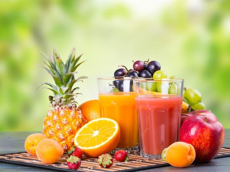 juice extractor santos